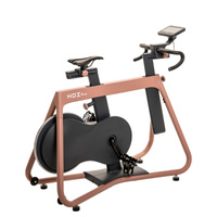 Spinningové kolo KETTLER HOI FRAME TERRACOTTA